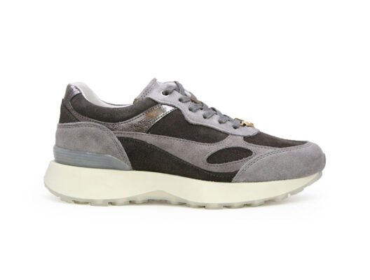 Tenis